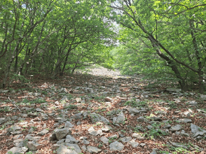 사진 4