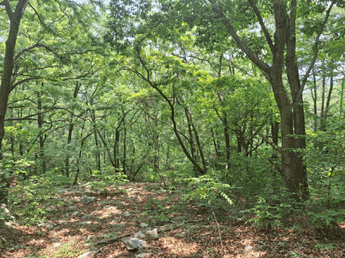 사진 8