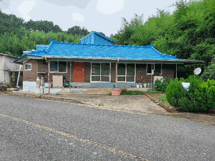 사진 1