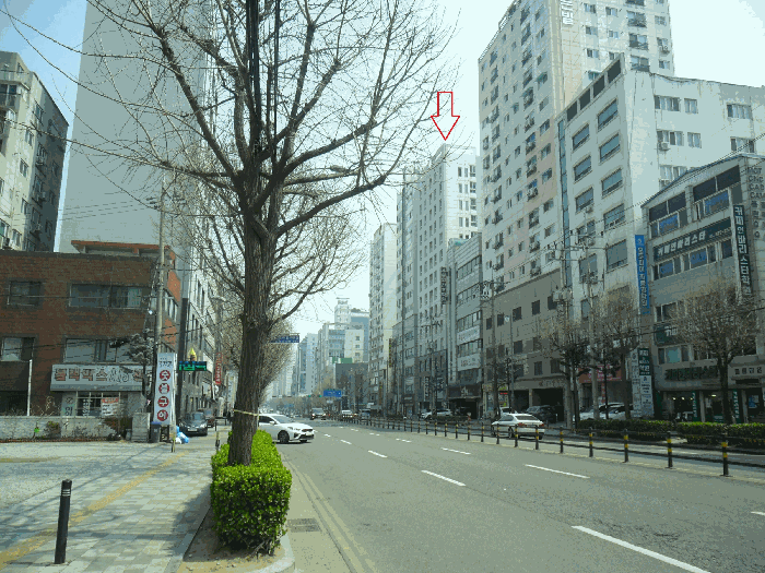 사진 3