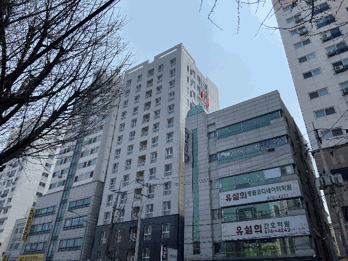 사진 6