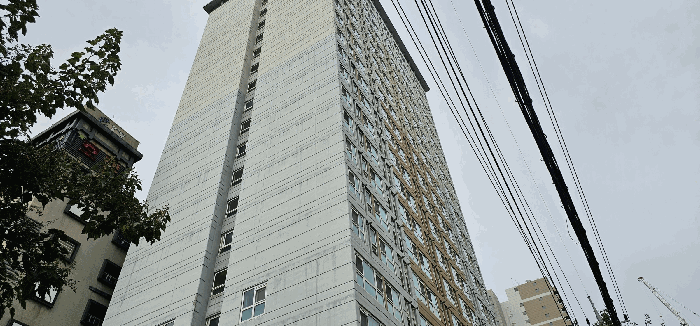 사진 8