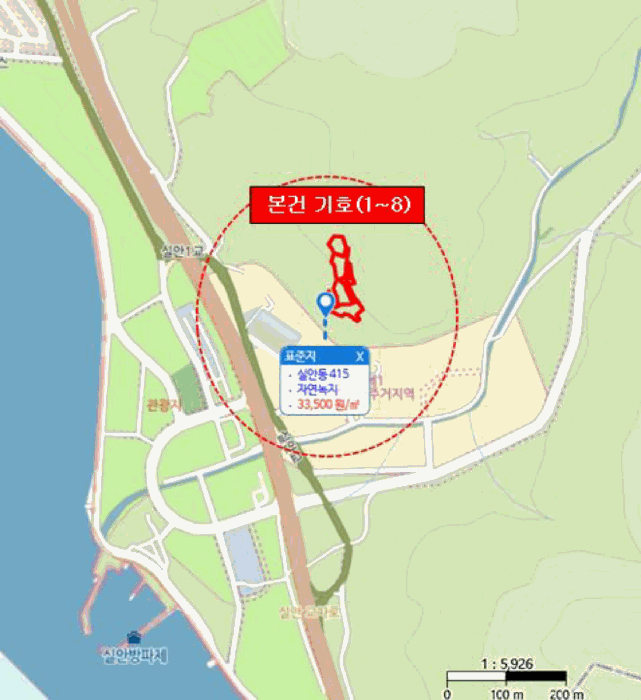 사진 3