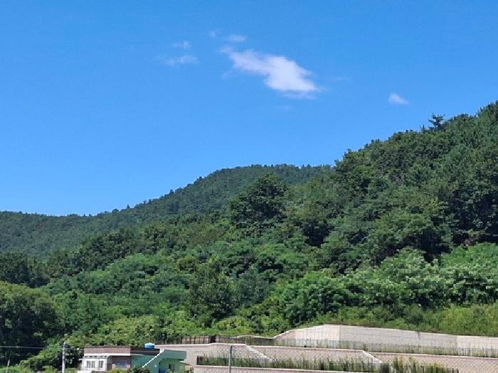사진 7