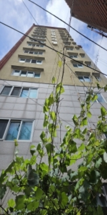 사진 1