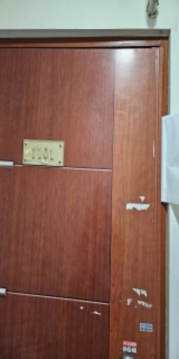 사진 38