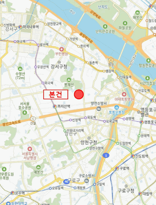 사진 9