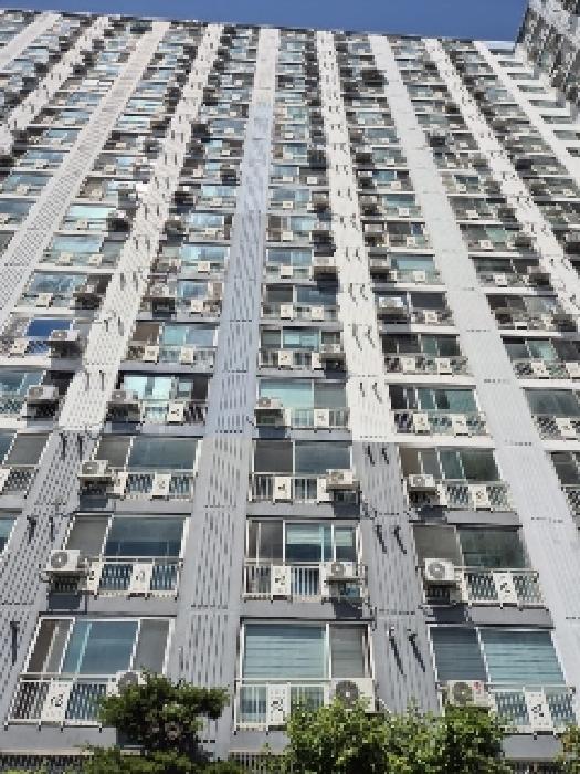 사진 9
