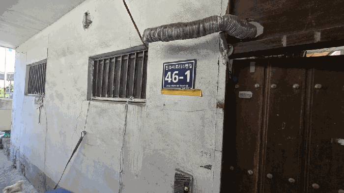 사진 11