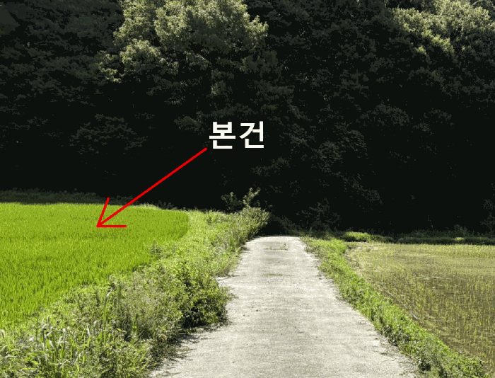 사진 1
