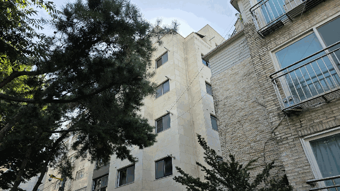 사진 9