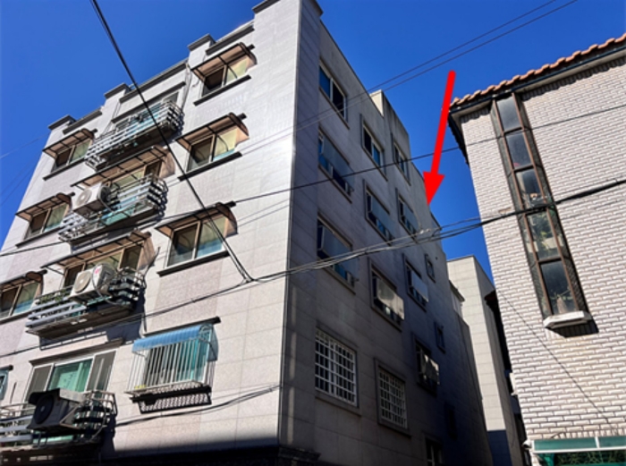 사진 10