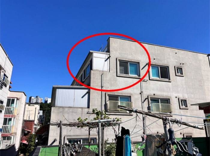 사진 7