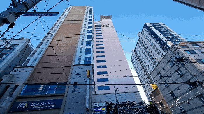 사진 12