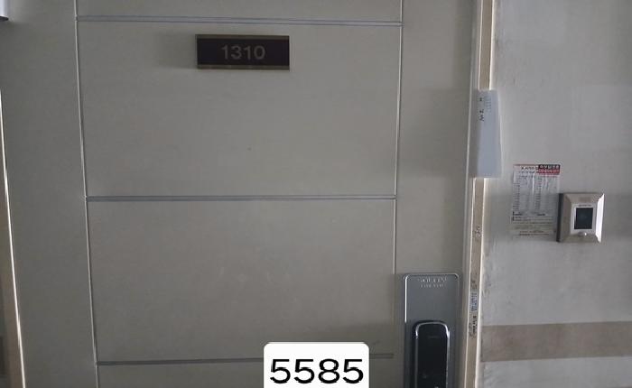 사진 3