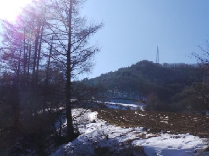 사진 2