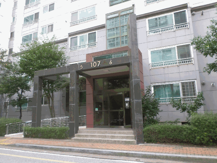 사진 10