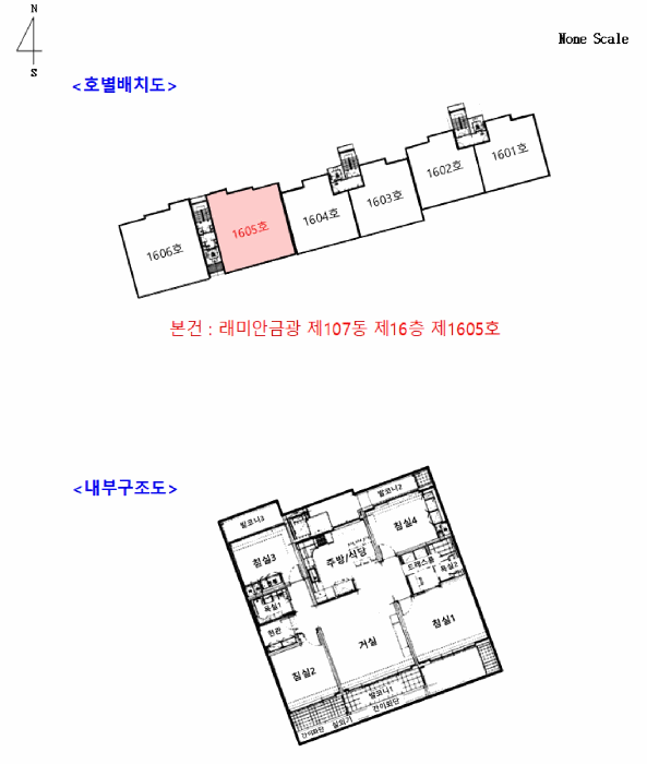 사진 13