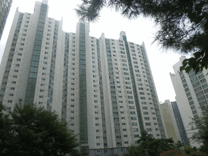 사진 4