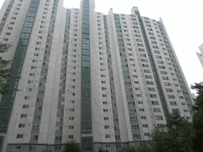 사진 7