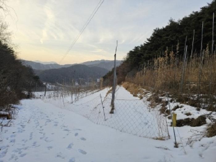 사진 3