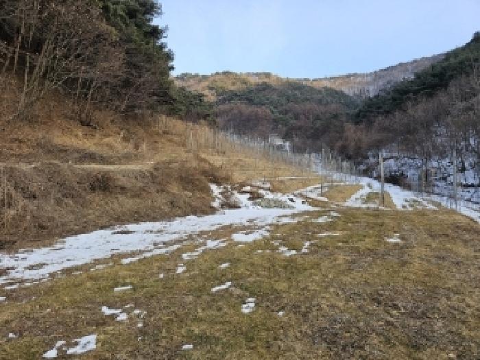 사진 4