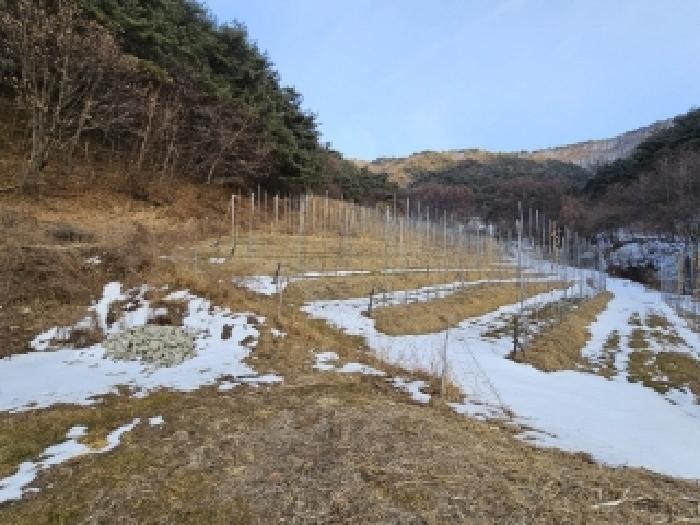 사진 5