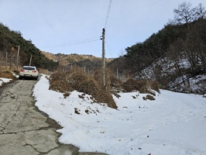 사진 7