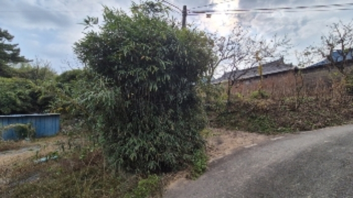 사진 12