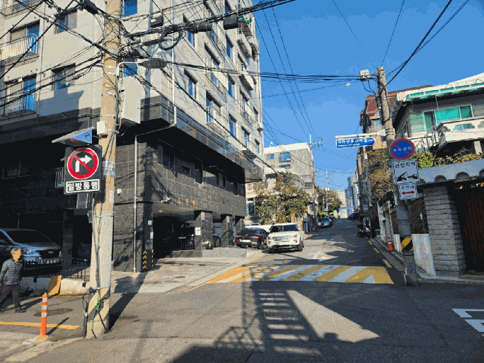 사진 10