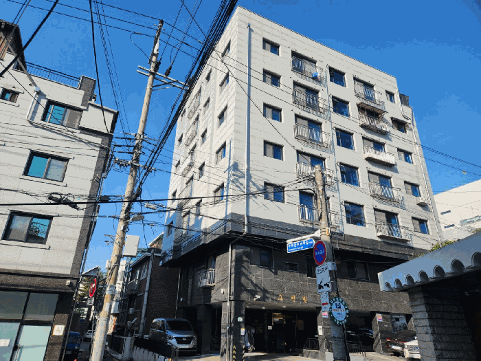 사진 8